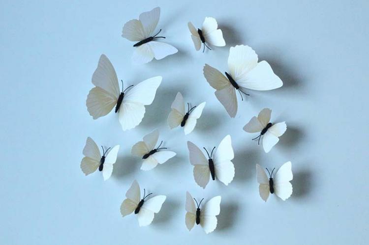 DIY butterflies on the wall: 10 interesting ideas