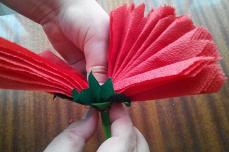 Karafiát - DIY kvety obrúskov Karafiát - DIY kvety obrúskov