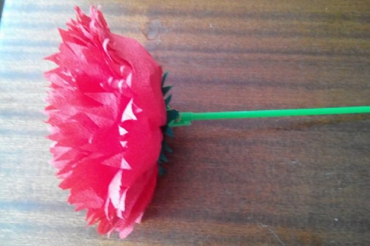 Karafiát - DIY kvety obrúskov Karafiát - DIY kvety obrúskov