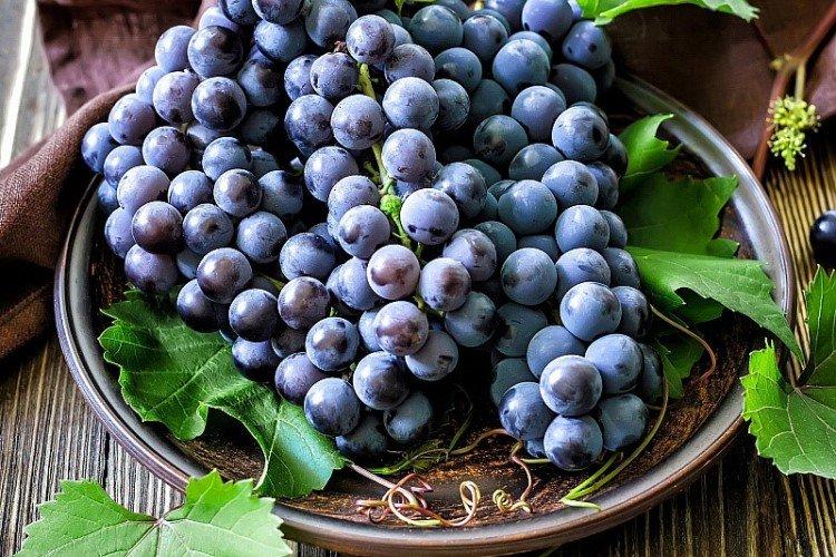 Seedless grape varieties: photos, names and descriptions (catalog)