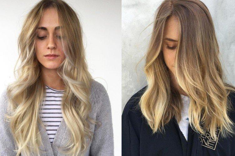 Pšeničná blond Pšeničná blond