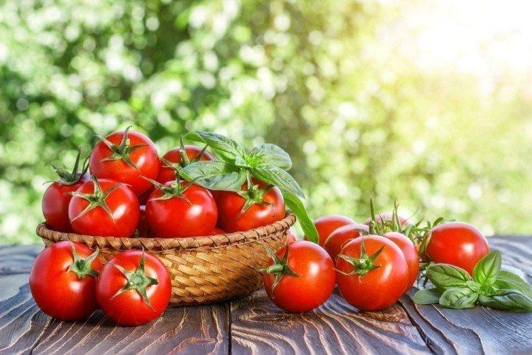 Low-growing tomatoes: the best varieties with photos and names (catalog)