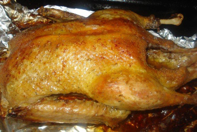 Kačica pečená v majonéze Kačica pečená v majonéze