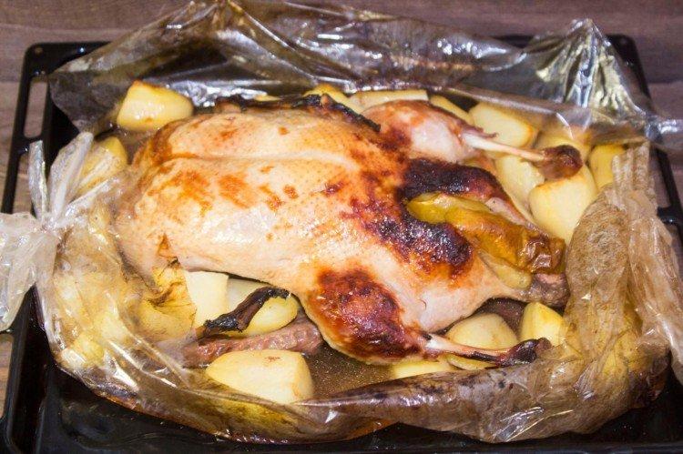Kačica so zemiakmi v rukáve Kačica so zemiakmi v rukáve