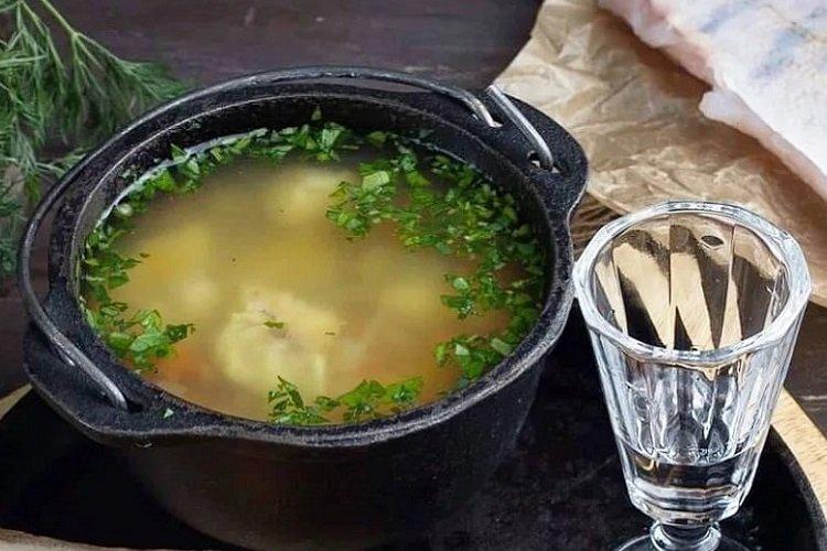 Trout fish soup with vodka Trout fish soup with vodka