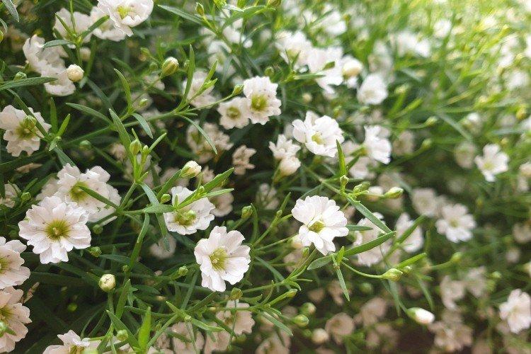 Teplota Teplota