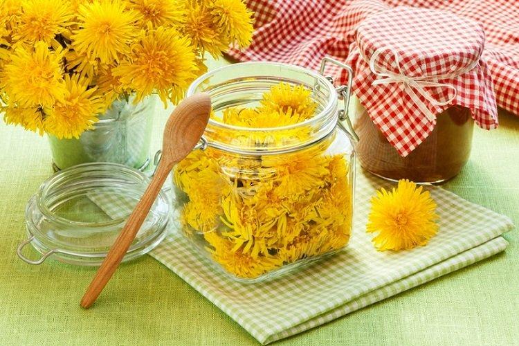 20 receptov na najchutnejší púpavový džem 20 receptov na najchutnejší púpavový džem