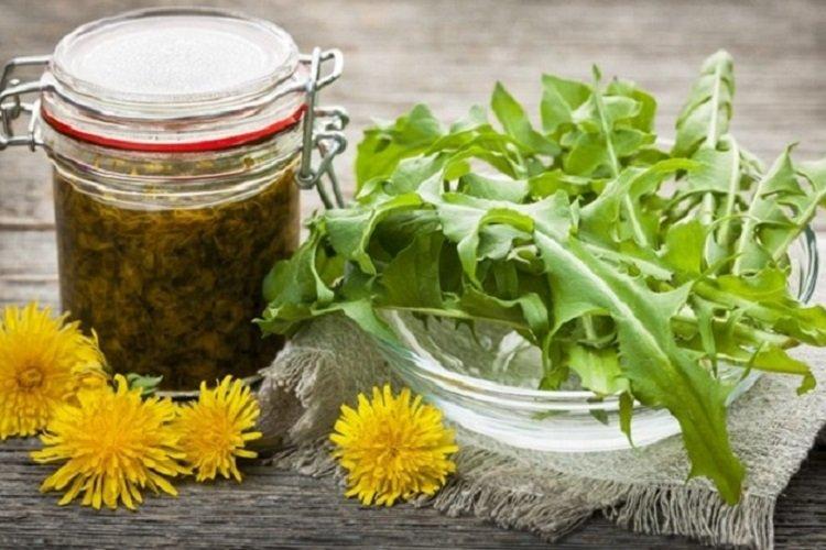 Púpavový džem bez tepelnej úpravy Púpavový džem bez tepelnej úpravy