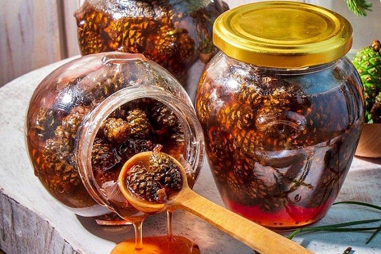Džem z borovicovej šišky s medom Džem z borovicovej šišky s medom