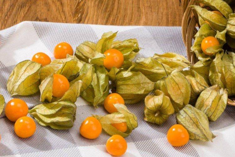 Physalis - foto Physalis - foto