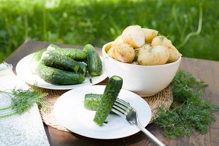 Jednoduchý recept na jemne solené uhorky vo vrecku Jednoduchý recept na jemne solené uhorky vo vrecku