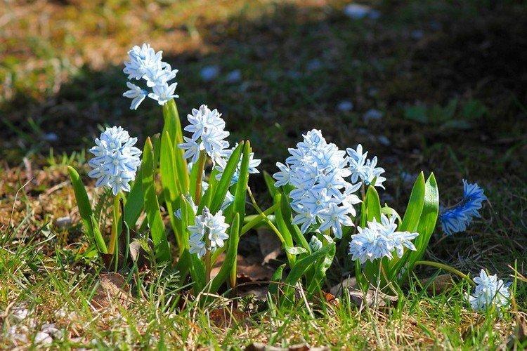Teplota a osvetlenie Teplota a osvetlenie