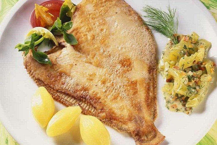 Platesy s kyslou smotanou v rúre Platesy s kyslou smotanou v rúre
