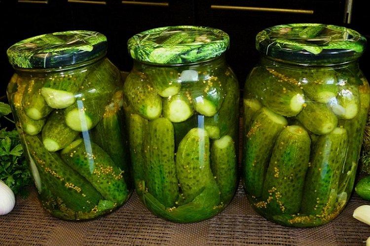 Nakladané uhorky na zimu Nakladané uhorky na zimu
