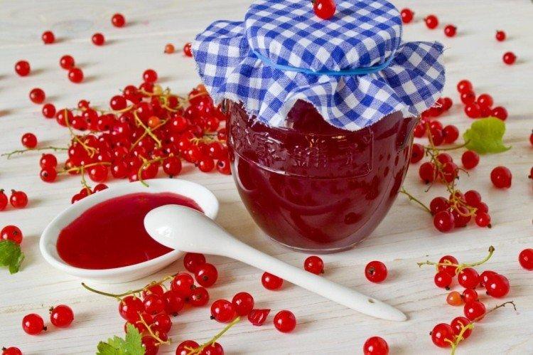 20 recettes de confiture de groseilles à faire