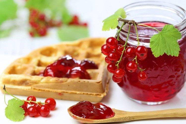 Želé z červeného ríbezle Želé z červeného ríbezle