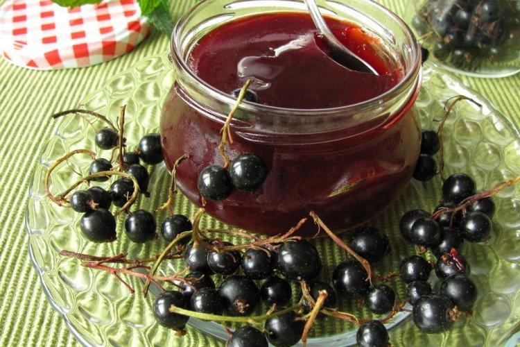 Džem s čiernymi ríbezľami a medom Džem s čiernymi ríbezľami a medom