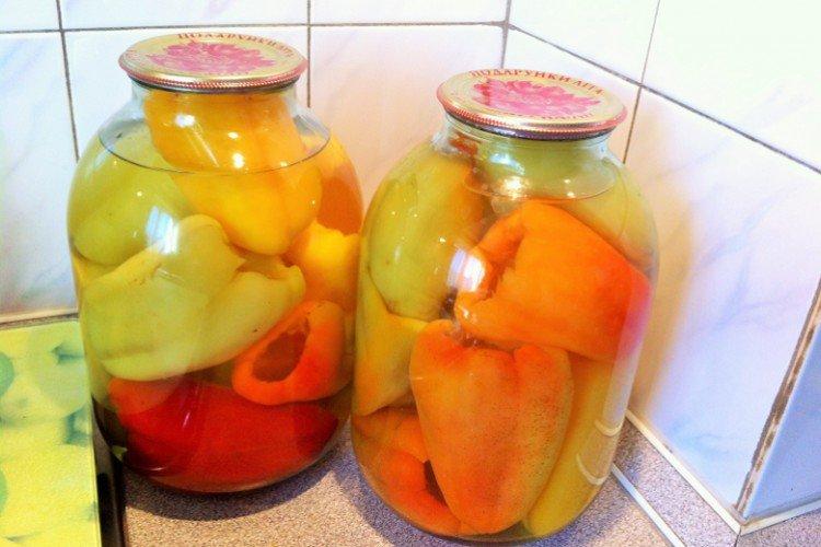 Paprika na zimnú plnku Paprika na zimnú plnku