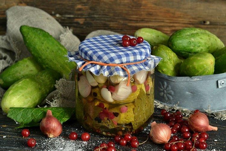 Nakladané uhorky s červenými ríbezľami Nakladané uhorky s červenými ríbezľami