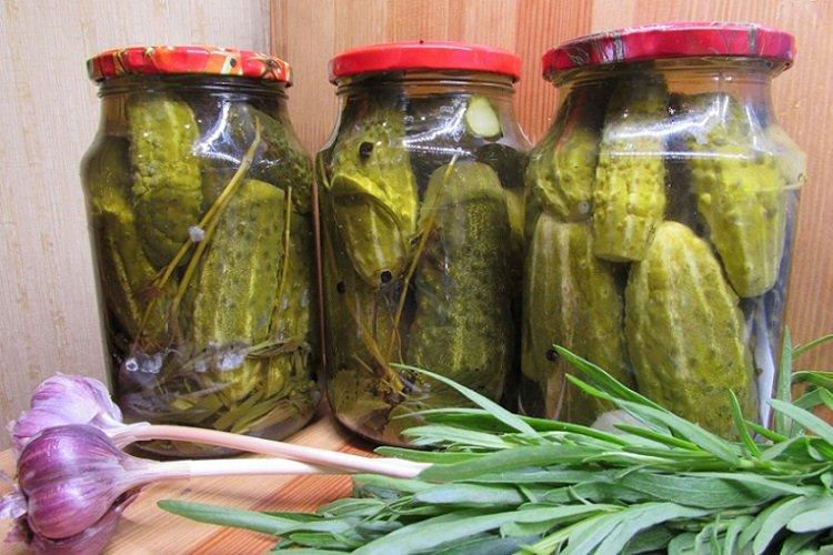 Nakladané uhorky so strúhaným chrenom a estragónom Nakladané uhorky so strúhaným chrenom a estragónom