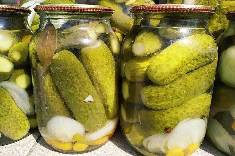 Bulharské nakladané uhorky Bulharské nakladané uhorky