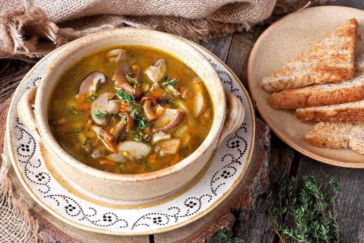 Mushroom soup: 14 of the most delicious recipes for cooking