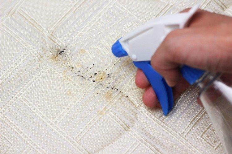 Amoniak - Ako sa zbaviť ploštice domácej Amoniak - Ako sa zbaviť ploštice domácej