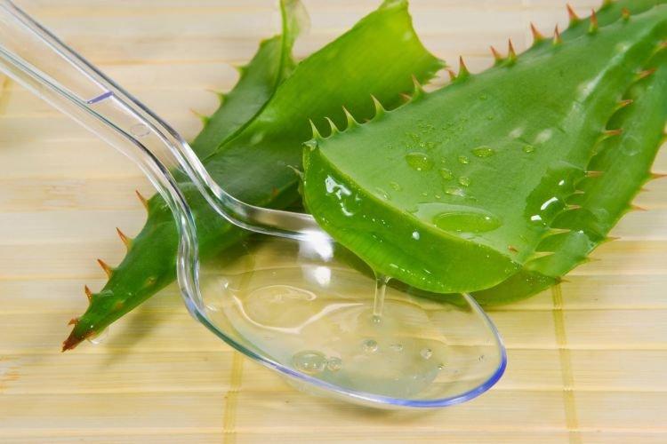 Aloe - Ako sa zbaviť akné na tvári Aloe - Ako sa zbaviť akné na tvári