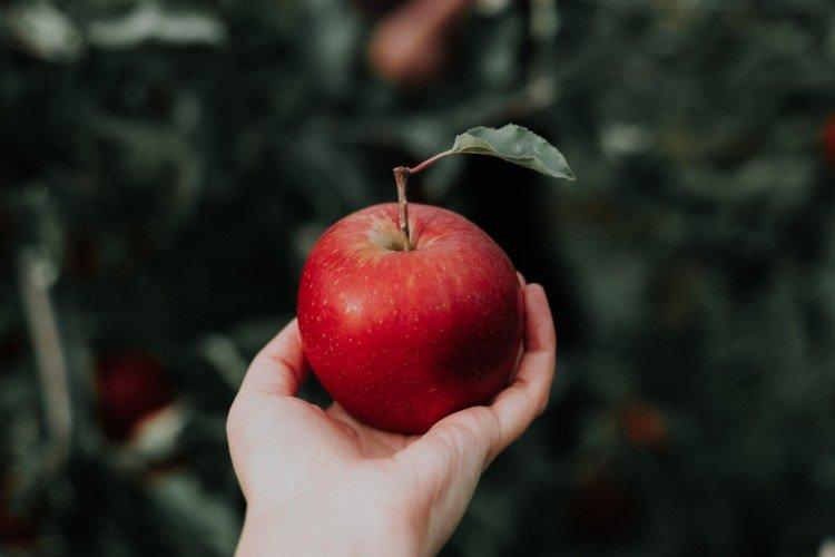 Jablká - Ako sa zbaviť zápachu z úst Jablká - Ako sa zbaviť zápachu z úst