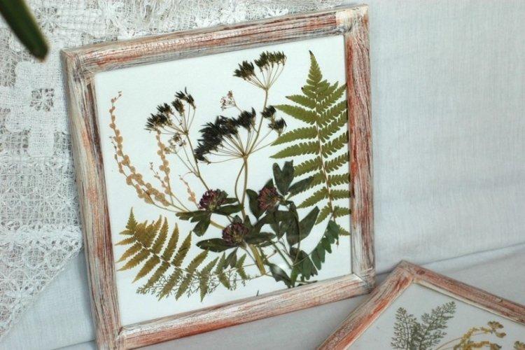 DIY obrazy zo sušených kvetov DIY obrazy zo sušených kvetov