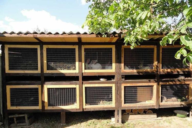 DIY viacúrovňové králičie klietky DIY viacúrovňové králičie klietky
