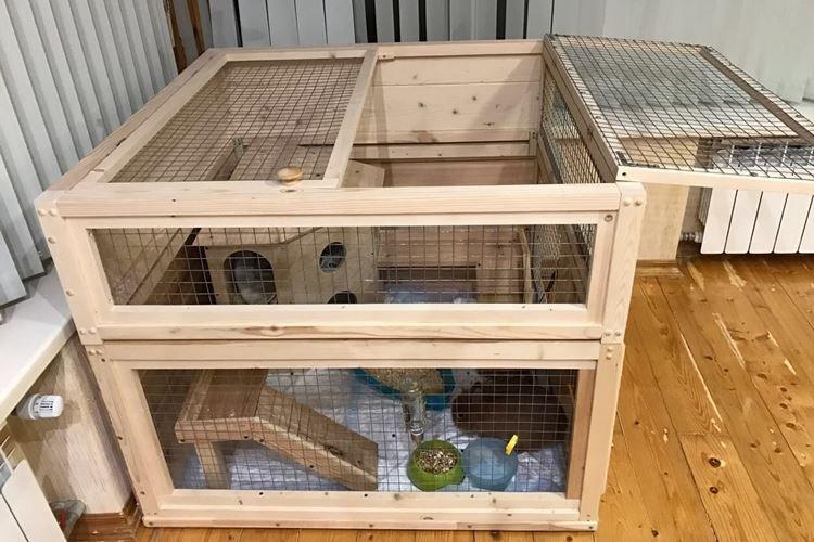 DIY trpasličí zajačie klietky DIY trpasličí zajačie klietky