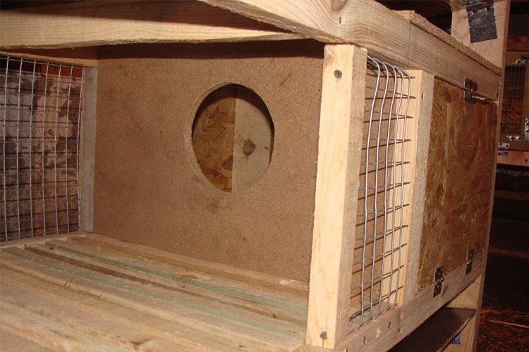 Klietky pre okrol - králičie klietky pre domácich majstrov Klietky pre okrol - králičie klietky pre domácich majstrov