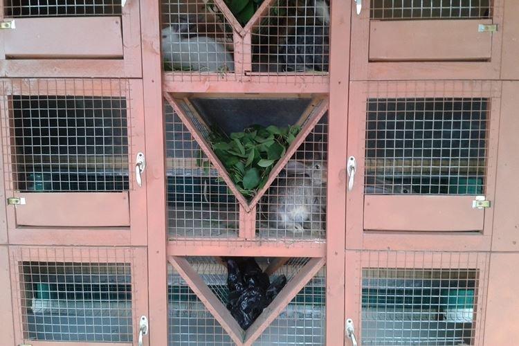 Klietky Zolotukhin - DIY králičie klietky Klietky Zolotukhin - DIY králičie klietky