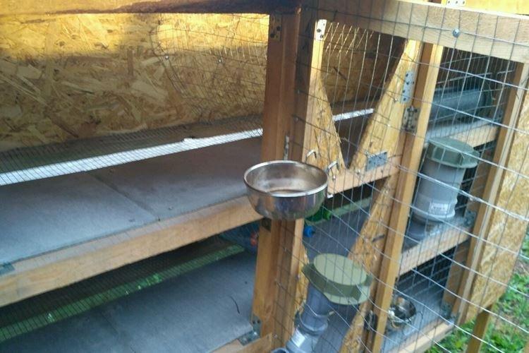 Klietky Zolotukhin - DIY králičie klietky Klietky Zolotukhin - DIY králičie klietky