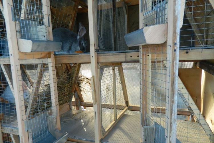 Klietky Zolotukhin - DIY králičie klietky Klietky Zolotukhin - DIY králičie klietky