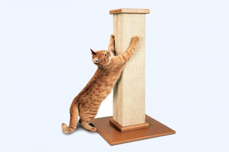 DIY cat scratching post: 8 great ideas