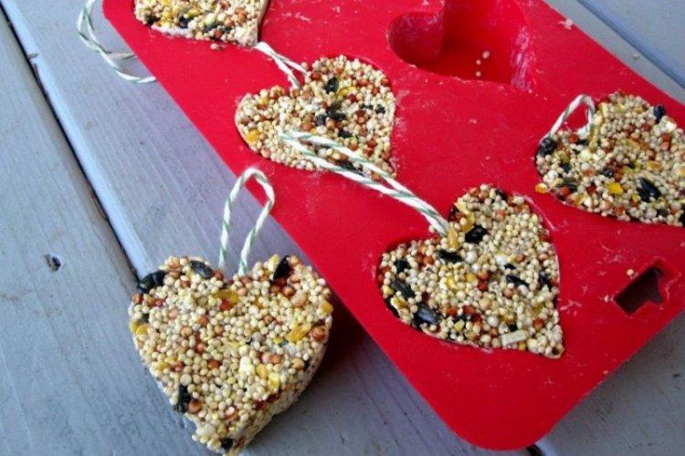 DIY kŕmidlo pre vtáky DIY kŕmidlo pre vtáky