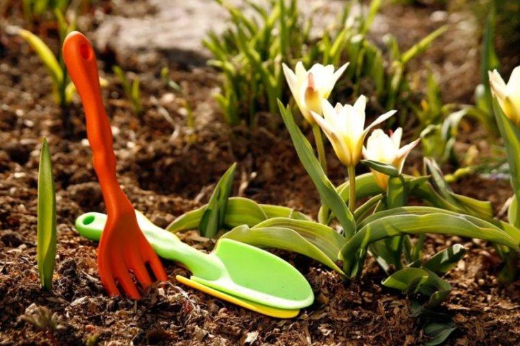 Hnojivá a kŕmenie - starostlivosť o krokus Hnojivá a kŕmenie - starostlivosť o krokus