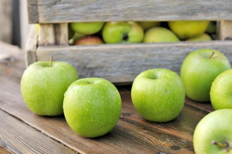 Green apples: the best varieties with names and photos (catalog)