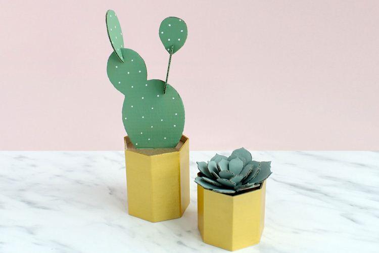 DIY kartónové remeslá: 10 jednoduchých nápadov (foto) DIY kartónové remeslá: 10 jednoduchých nápadov (foto)