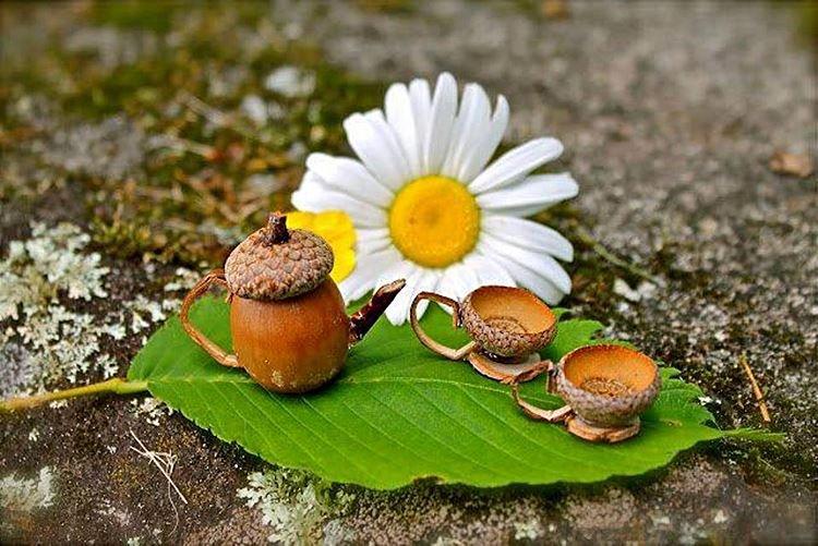 Remeslá z prírodného materiálu pre materskú školu - fotografie a nápady Remeslá z prírodného materiálu pre materskú školu - fotografie a nápady