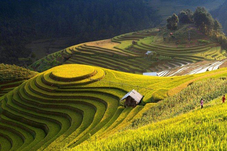 Ryžové terasy v meste Mu Cang Chai, Vietnam - najkrajšie miesta na svete Ryžové terasy v meste Mu Cang Chai, Vietnam - najkrajšie miesta na svete