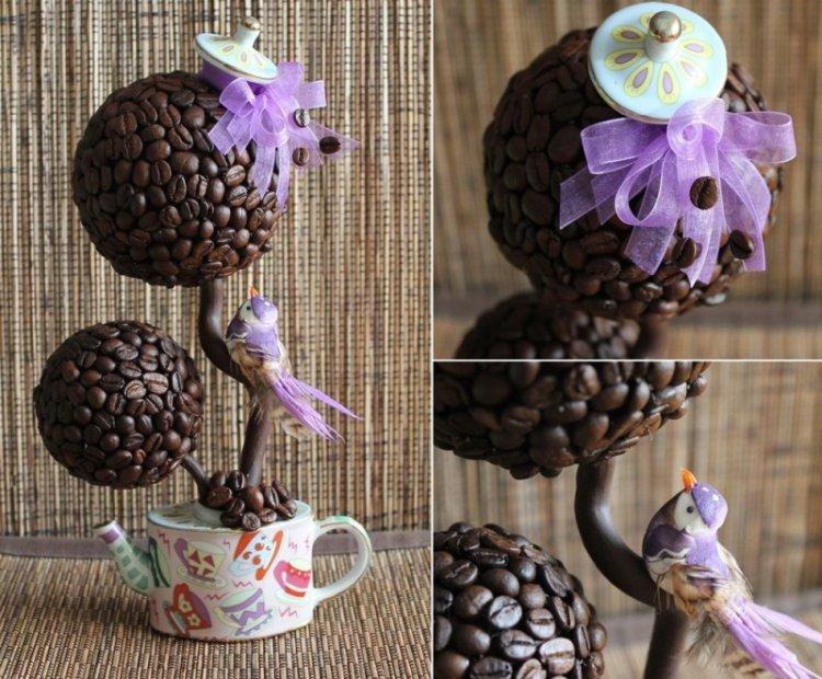 DIY kávovník (kávovník) DIY kávovník (kávovník)