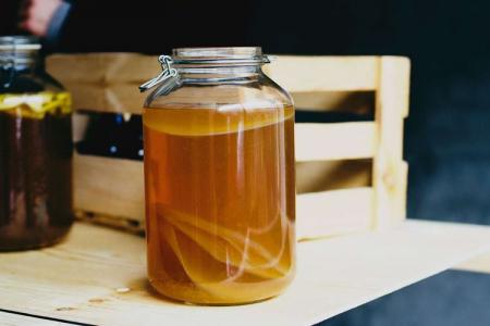 Kombucha: ako pestovať, starať sa a používať