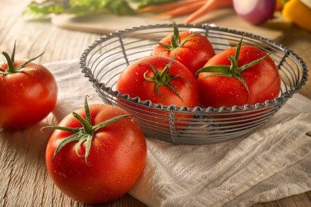 Top 20 Late Blight Resistant Tomato Varieties