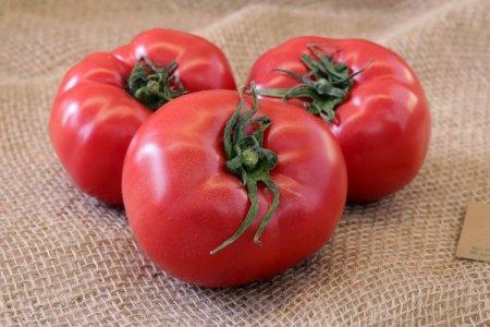 Pink tomatoes: the best varieties with photos and names (catalog)