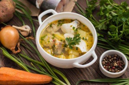 20 fish soups that the whole family will love