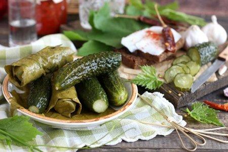 20 simple and delicious recipes for salted cucumbers