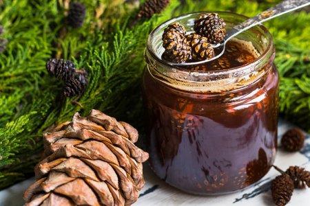 20 délicieuses recettes de confiture de pommes de pin